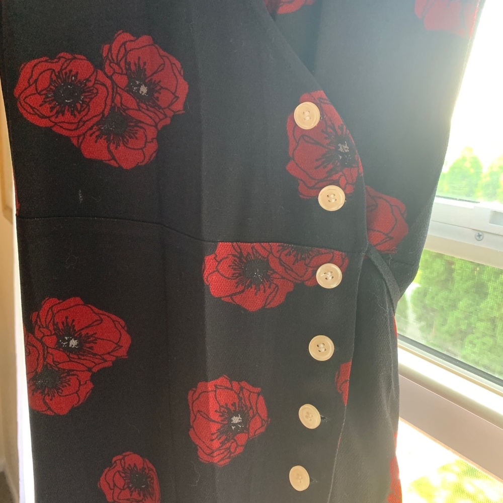 Rouje Gabinette Dress ! - Picture 5 of 5